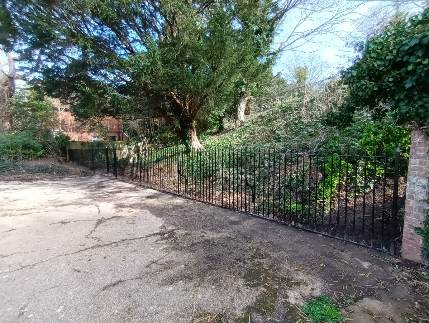 new fences in Alexandra Park