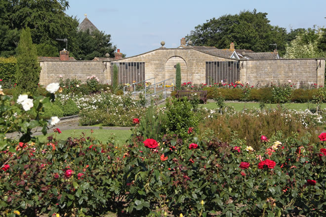 Hastings Cemetery lawn