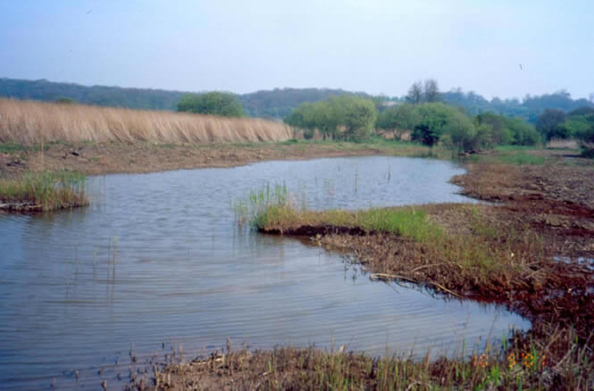 Renovating ditches at Filsham Reddbeds Local Nature Reserve