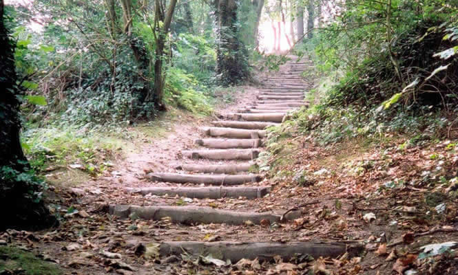 Summerfields Woods Local Nature Reserve